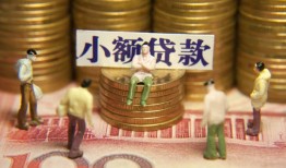成都31贷款网-成都31私借空放免费上门-成都31做生意贷款