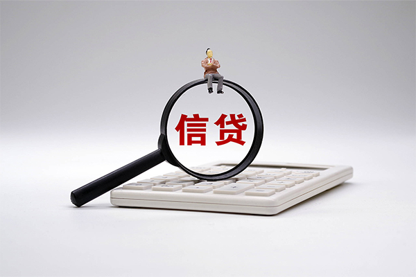 成都31大额短借